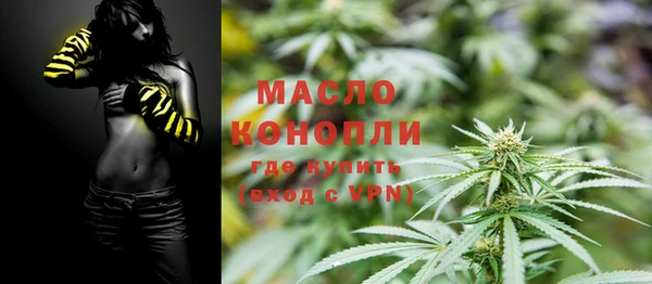 дживик Мегион