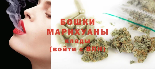 дживик Мегион