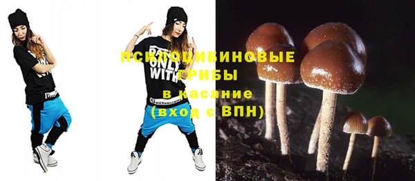 дживик Мегион