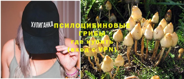 круглые Вязьма