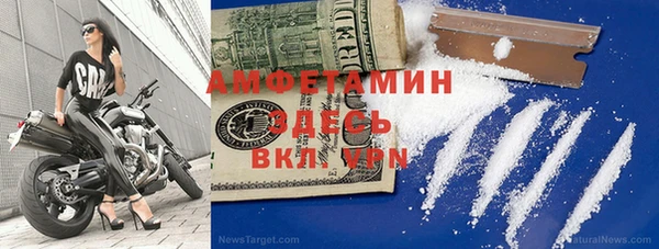 дживик Мегион