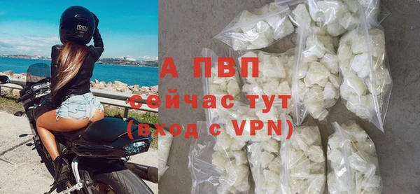 дживик Мегион