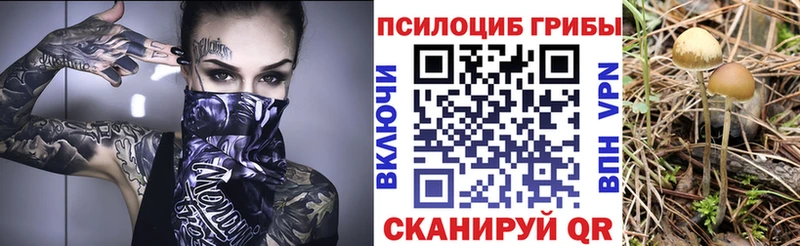Псилоцибиновые грибы мицелий  Гаврилов Посад 