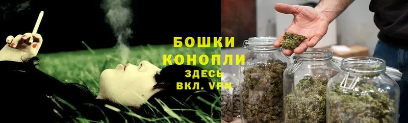 где купить наркоту  Гаврилов Посад  Бошки Шишки SATIVA & INDICA 