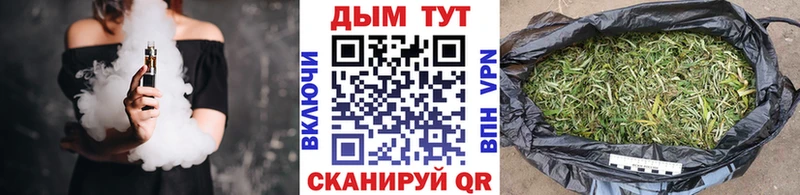 Шишки марихуана конопля  наркотики  Гаврилов Посад 